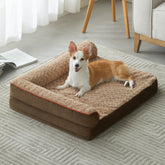 BFPETHOME orthopedic dog bed for large dogs in 36x27 setup showing space to stretch