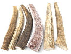 Big Dog Antler Chews no preservatives or artificial additives