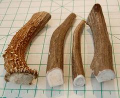 Big Dog Antler Chews one-pound pack with multiple long pieces for dogs.