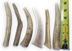 Big Dog Antler Chews six-piece pack for small dogs, long-lasting indoor chew