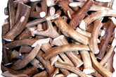 Big Dog Antler Chews premium deer antler pieces for long lasting indoor chewing.