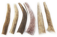 Big Dog Antler Chews small dogs 0-20 lbs natural calcium source for teeth support