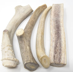 Big Dog Antler Chews washed and trimmed six-inch antler pieces.