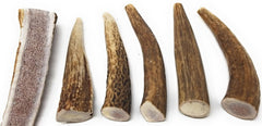 Big Dog Antler Chews wild deer and elk sourced no additives