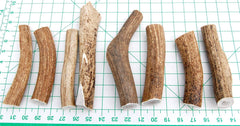 Big Dog Antler Chews: sourced from wild elk, free from steroids or additives.