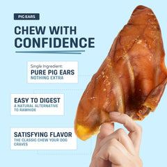 Big Lu pig ears bag display highlighting ethical sourcing and 12-count packaging