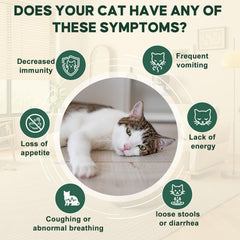 Dewomax liquid being poured to mix with cat food or water.