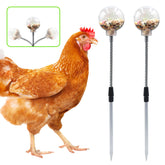 BingegePet chicken treat dispenser ball swings as hens peck for rewards