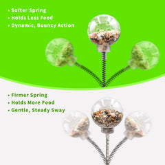 BingegePet hard spring option challenges larger birds