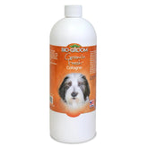 Bio-Groom Groom'n Fresh dog cologne bottle pour for between-bath freshness.