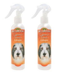 Bio-Groom Groom'n Fresh bottle ready for quick deodorizing between baths.