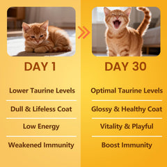 BioBiopaw Taurine powder blends with dry food for flexibility