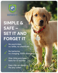 BIOPOWER PET Shield on a cat collar with safe, waterproof design