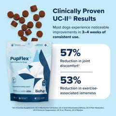 BioPup PupFlex+ curcuvet ingredient label featuring natural anti-inflammatory botanicals