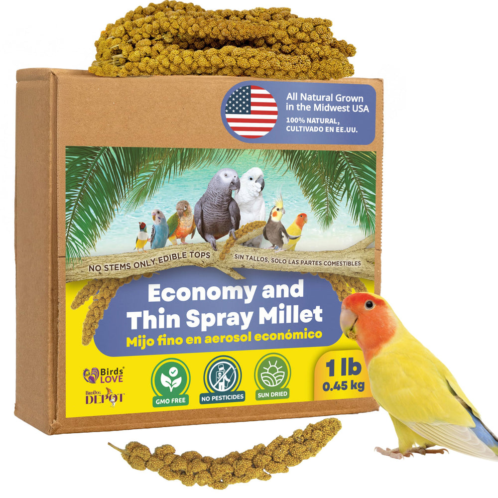 Birds LOVE millet sprays 1lb economy bag ready for foraging enrichment.