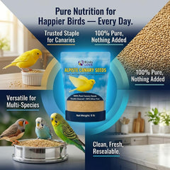 Birds LOVE non-GMO alpiste seed with silica-free claim β cleaner feeding experience.