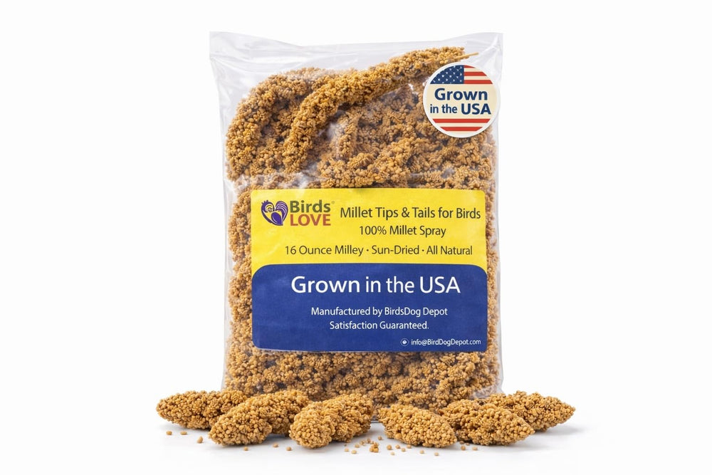 Birds LOVE Millet Tips & Tails spray millet for daily nutrition