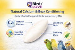 Birds LOVE sun-dried cuttlebone from Vietnam provides natural minerals