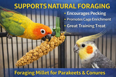 Birds LOVE sun-dried millet clusters shown for natural parrot treats.
