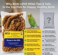 Birds LOVE USA grown millet spray supports healthy energy for birds