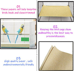 Sea-sand texture on Birheatry gravel paper supports beak and claw wear.