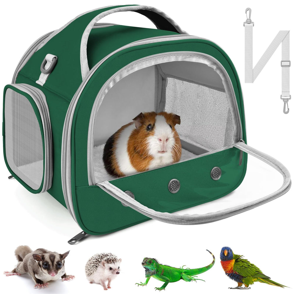 Bissap travel carrier front window showing pet-facing view and surroundings