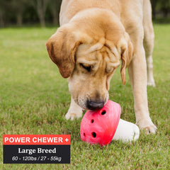 BiteKing durable rubber dog toy offers a safe grip for energetic chewers.