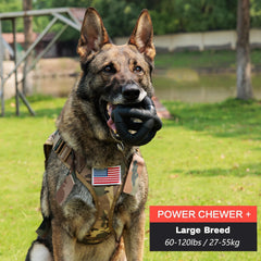 Open-grid grip on the BiteKing toy aiding easy pickup and carry by dogs.