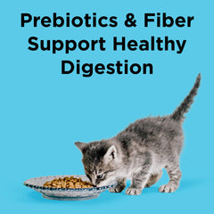 BIXBI Liberty miscanthus fiber closeup highlighting prebiotics.
