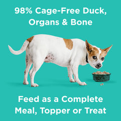 Topper over kibble boosts flavor and protein for dogs