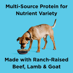 BIXBI Liberty fresh beef-first ingredient bowl boosts lean muscle.