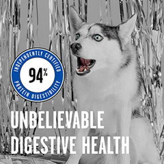 BIXBI Liberty turkey topper sprinkled over kibble enhances protein-rich meals.