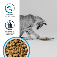 BIXBI Rawbble 95% meat and organs closeup highlights whole-animal nutrition