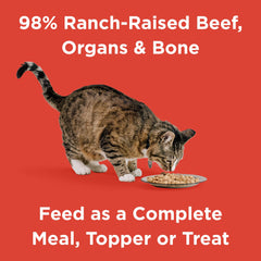 BIXBI Rawbble freeze-dried chunks in a bowl for convenient feeding.