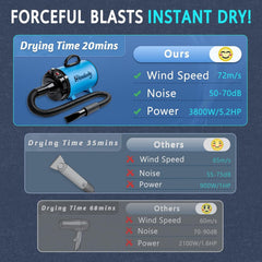 Blanlody grooming dryer with multiple nozzles for customized drying