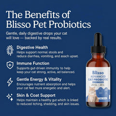 Blisso Probiotic Drops dropper used with wet food for easy administration and palatability