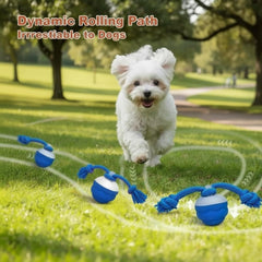 Bloompaw ball sound feature attracts dogs for engaging sessions.