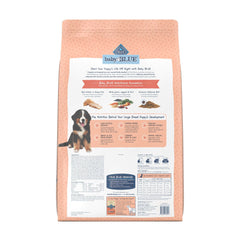 Blue Buffalo Baby BLUE DHA-ARA ingredients close-up highlighting cognitive support.