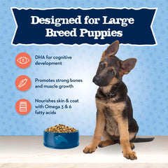 Blue Buffalo Baby BLUE large-breed puppy kibble close-up showcasing high-protein formula.