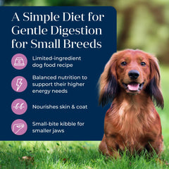 Blue Buffalo Basics LifeSource Bits close-up emphasizes antioxidant-rich blend.