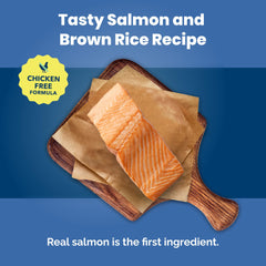 Blue Buffalo chicken-free formula image highlights no chicken by-product meals.
