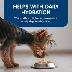 Blue Buffalo Delights small-breed cups ready to serve, easy mealtime for busy owners.