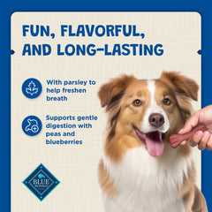 Blue Buffalo Dental Bones chew bone in hand during dog treat time