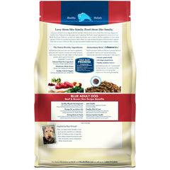 Blue Buffalo dry dog food in a bowl for daily nutrition.