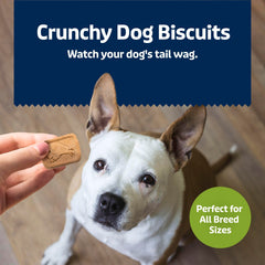 Blue Buffalo Health Bars crunchy treats preferred by dogs during rewards.