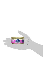 Blue Buffalo Homestyle chicken chunks appear in savory sauce for small dogs.
