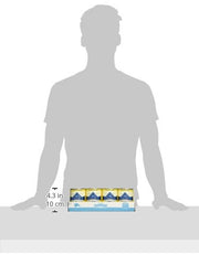 Blue Buffalo Homestyle Healthy Weight packaging label emphasizes weight management focus