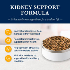 Blue Buffalo KS Kidney Support kibble in a bowl showing balanced nutrition for kidney health.