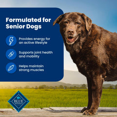 Blue Buffalo Life Protection Senior bag label shows glucosamine and chondroitin for joints.
