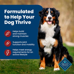 Blue Buffalo LifeSource Bits graphic illustrating antioxidant-rich immune support.